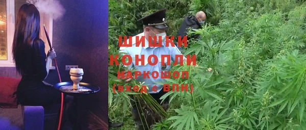 первитин Богданович